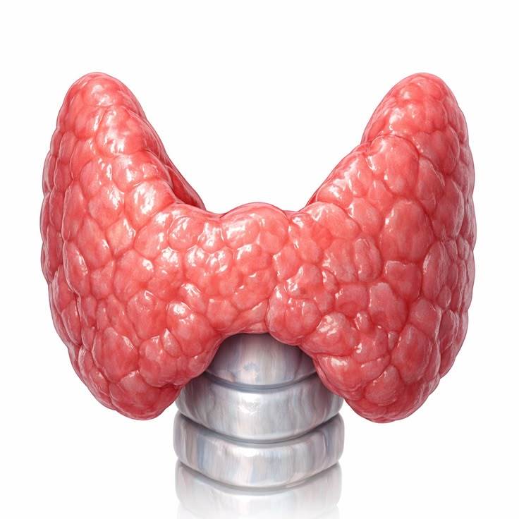 Endocrinología