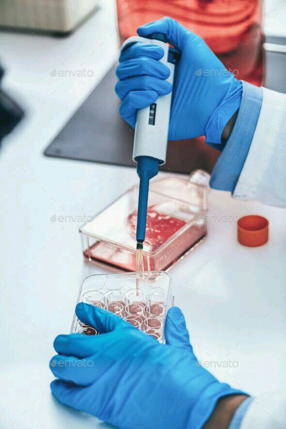 Toxicología